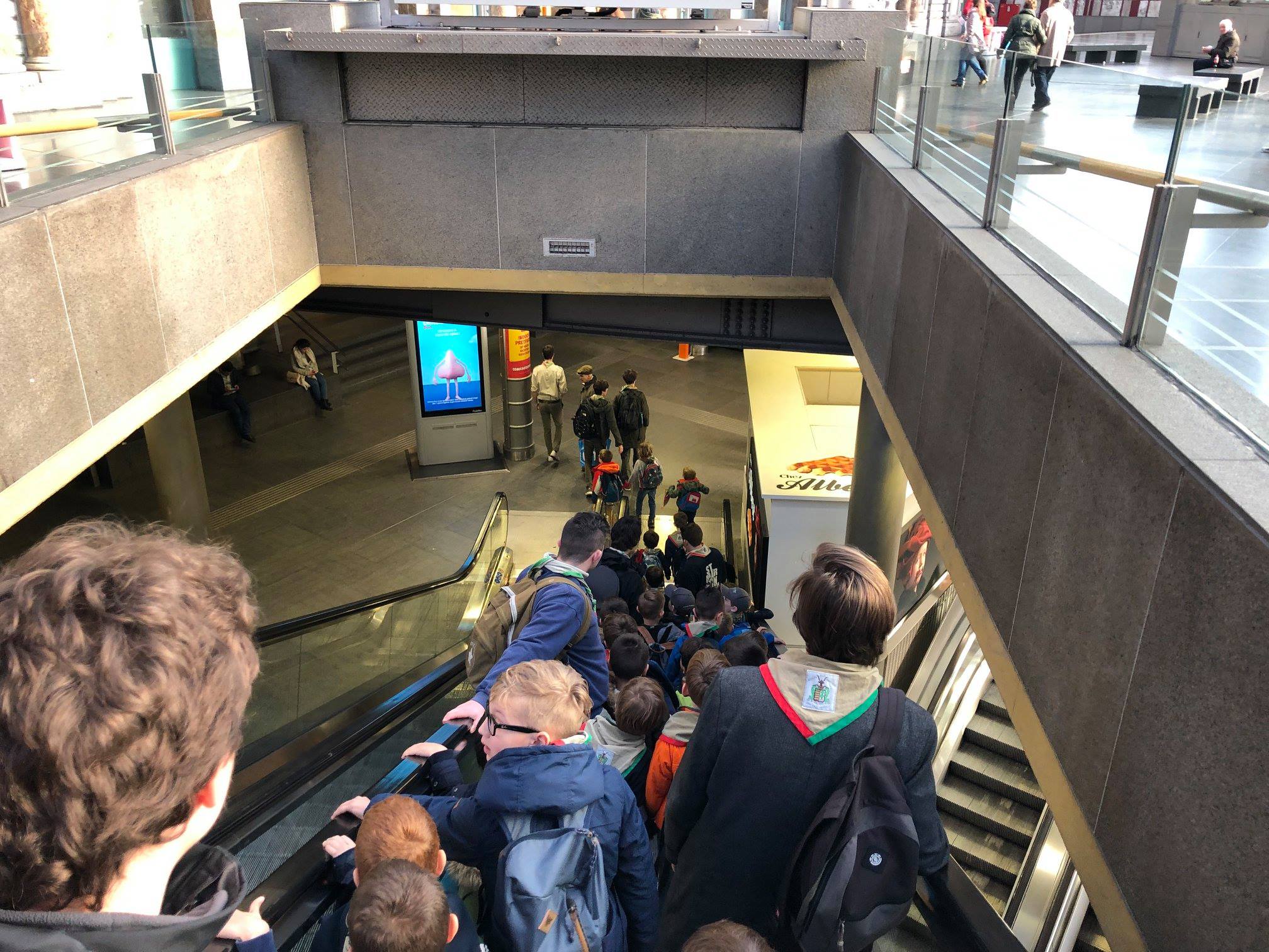 Sint-Martinus den XIIde - Zoo Antwerpen Kapoenen